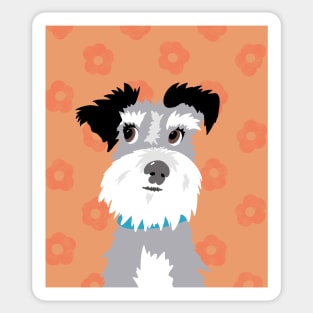 Salt and Pepper Miniature Schnauzer on Bright Orange Daisy Background Sticker